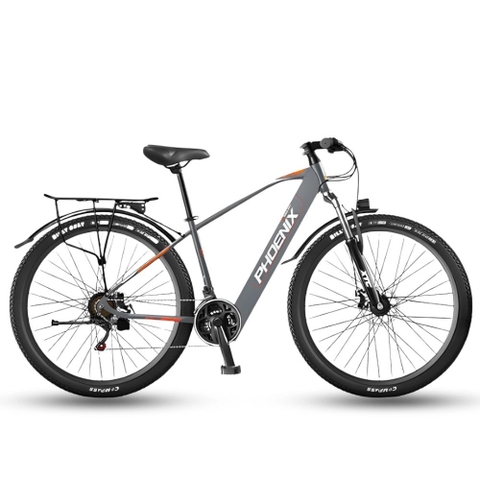 Xe đạp trợ lực điện Phoenix 599