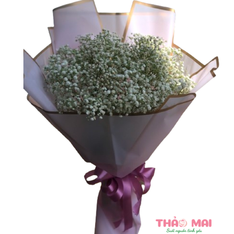 Thanh xuân của tôi