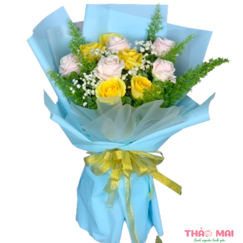Pháo hoa