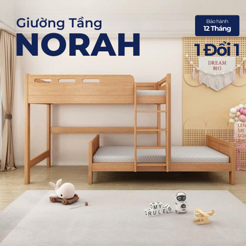NORAH, Giường ngủ 2 tầng cho trẻ em hiện đại đa năng, GT_002, Nội thất Nhà trên cao