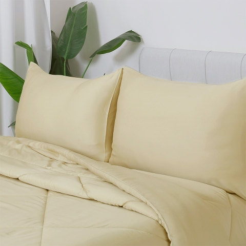 Bộ Chăn Ga Gối 100% Tencel 300T ETS05