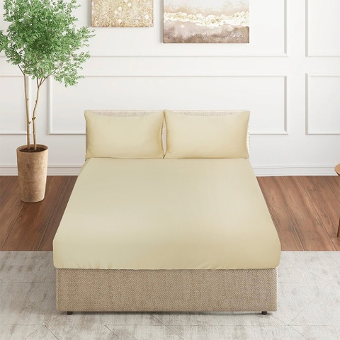 Bộ Ga Gối 100% Tencel 300T ETS05