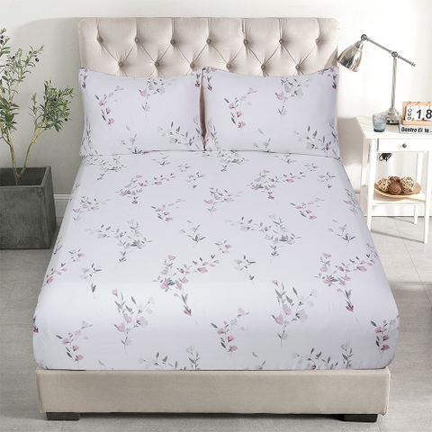 Bộ Ga Gối 100% Tencel 300T ETP05
