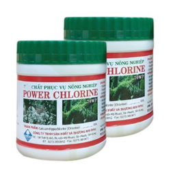 Bột Tẩy Rong Rêu Cực Mạnh