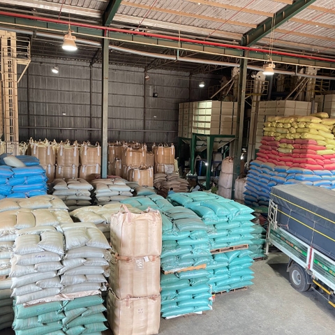 Bảo quản, Lưu trữ