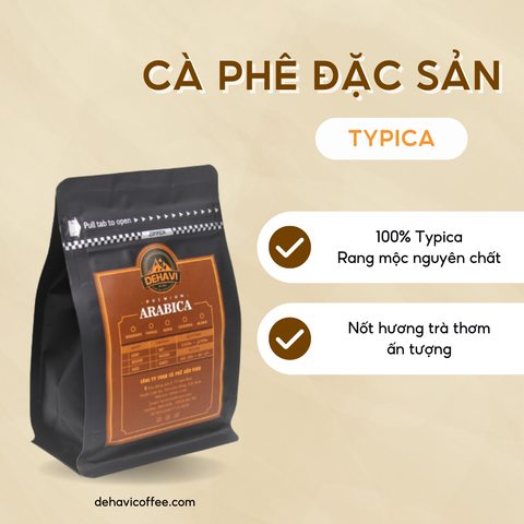 Cà Phê Đặc Sản ARABICA TYPICA Cầu Đất | 250gr