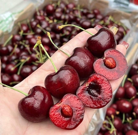 Cherry Chille