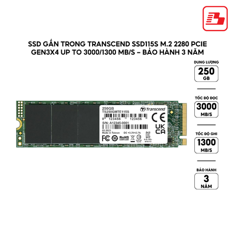 Ổ cứng gắn trong 250GB SSD115S M.2 2280, PCIe Gen3x4, Transcend (up to R/W: 3000/1300MB/s) - Bảo Hành 3 năm