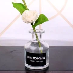 Chai khuếch tán hương thơm bằng thủy tinh với nắp thủy tinh sáng tạo
