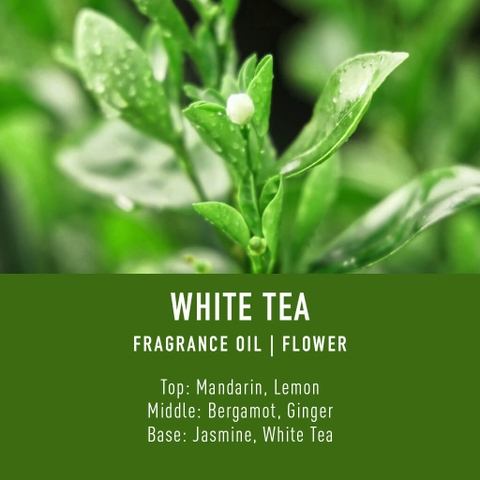 Tinh Dầu Thơm Làm Nến, Tán Hương, Mỹ Phẩm Craft House Luxury Fragrance Oils - White Tea
