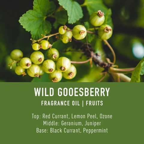 Tinh Dầu Thơm Làm Nến, Tán Hương, Mỹ Phẩm Craft House Luxury Fragrance Oils - Wild Gooesberry