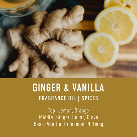 Tinh Dầu Thơm Làm Nến, Tán Hương, Mỹ Phẩm Craft House Luxury Fragrance Oils - Ginger & Vanilla