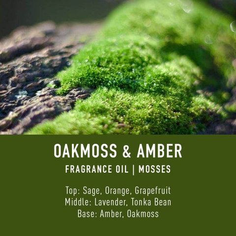 Tinh Dầu Thơm Làm Nến, Tán Hương, Mỹ Phẩm Craft House Luxury Fragrance Oils - Oakmoss & Amber