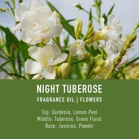Tinh Dầu Thơm Làm Nến, Tán Hương, Mỹ Phẩm Craft House Luxury Fragrance Oils - Night Tuberose