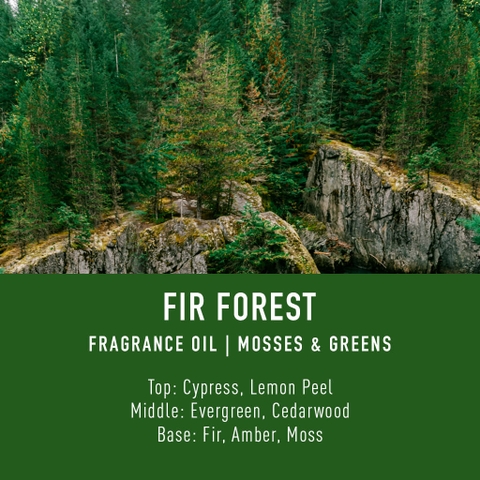 Tinh Dầu Thơm Làm Nến, Tán Hương, Mỹ Phẩm Craft House Luxury Fragrance Oils - Fir Forest