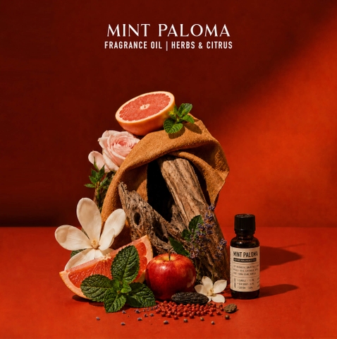 Tinh Dầu Thơm Làm Nến, Tán Hương, Mỹ Phẩm Craft House Luxury  Fragrance Oils - Mint Paloma