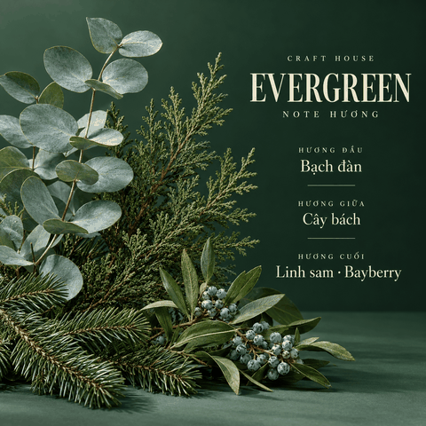 Craft House Fragrance Oils - Evergreen