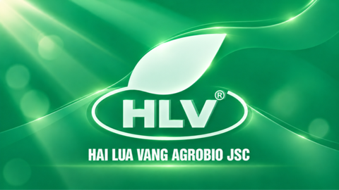 CHÍNH SÁCH QUYỀN RIÊNG TƯ ỨNG DỤNG HLV KẾT NỐI
