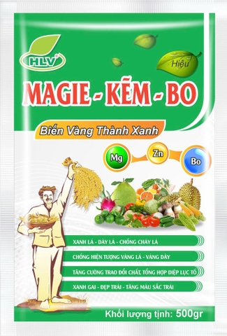Magie - Kẽm - Bo