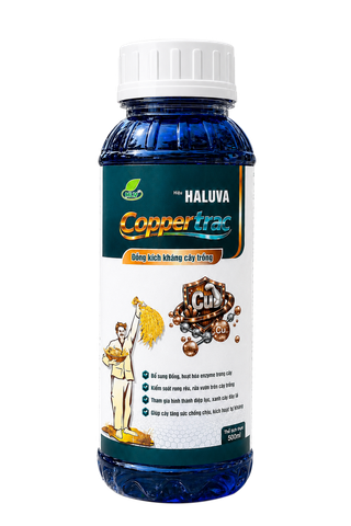 Haluva Coppertrac