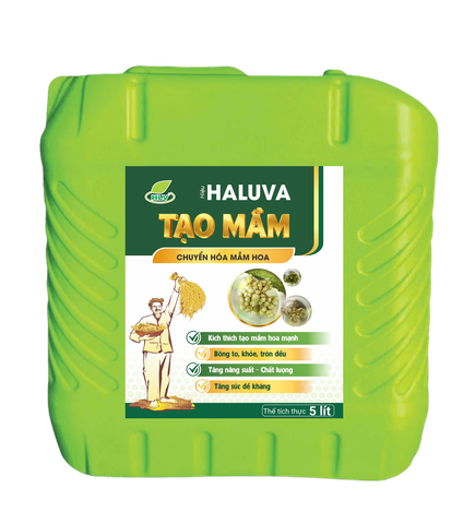 Haluva Tạo Mầm