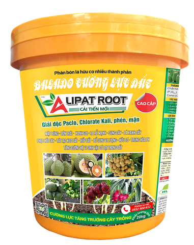ALIPAT ROOT cải tiến mới