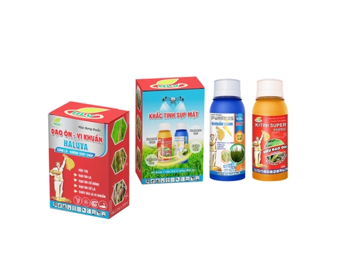 HALUVA ĐẠO ÔN - VI KHUẨN