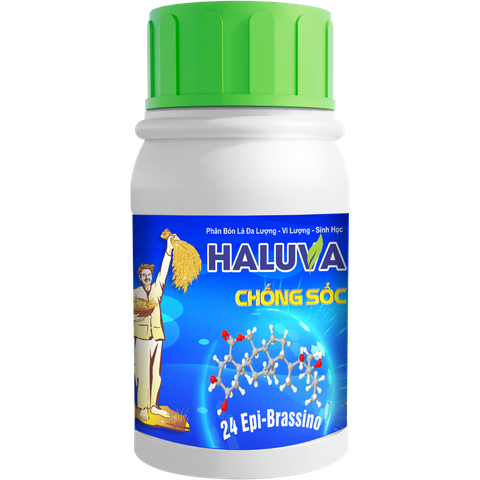 Haluva Chống sốc