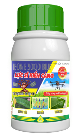 Lực Sĩ Kiến Càng