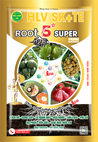 ROOT 5 SUPER