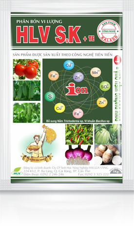 HLV S.K + TE RAU MÀU