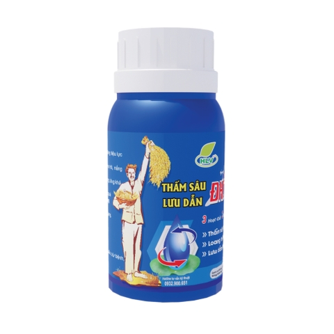 THẤM SÂU LƯU DẪN ĐHCT