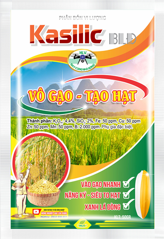 VÔ GẠO TẠO HẠT| KASILIC BLĐ