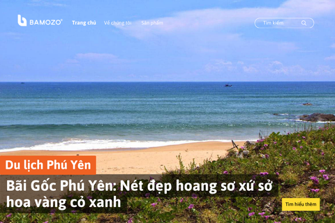 Bãi Gốc Phú Yên: Nét đẹp hoang sơ xứ sở hoa vàng cỏ xanh
