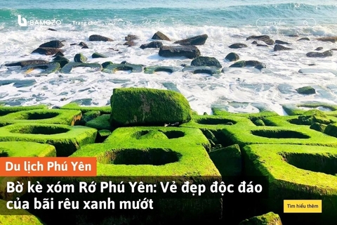 Bờ kè xóm Rớ Phú Yên: Vẻ đẹp độc đáo của bãi rêu xanh mướt
