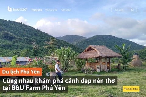 Cùng nhau khám phá cảnh đẹp nên thơ tại B&U Farm Phú Yên