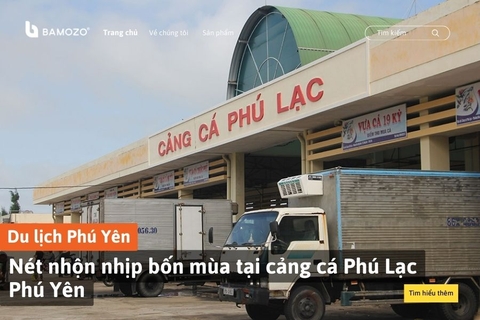 Nét nhộn nhịp bốn mùa tại cảng cá Phú Lạc Phú Yên