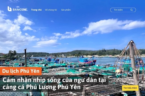 Cảm nhận nhịp sống của ngư dân tại cảng cá Phú Lương Phú Yên