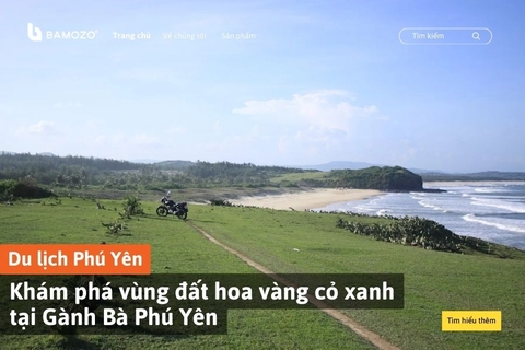 Khám phá vùng đất hoa vàng cỏ xanh tại Gành Bà Phú Yên