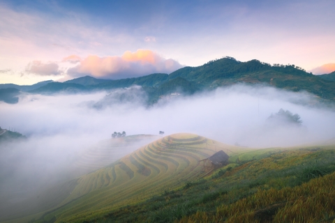 Mù Cang Chải mùa lúa chín: Đi tháng mấy đẹp nhất?