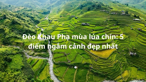 Đèo Khau Phạ mùa lúa chín: 5 điểm ngắm cảnh đẹp nhất