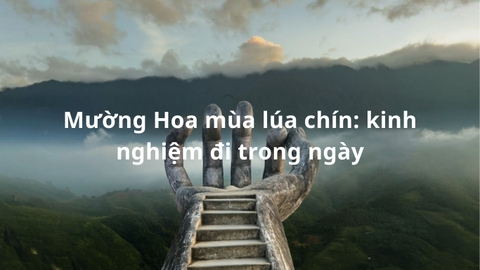 Mường Hoa mùa lúa chín: kinh nghiệm đi trong ngày