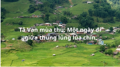 Tả Van mùa thu: Một ngày đi giữa thung lũng lúa chín