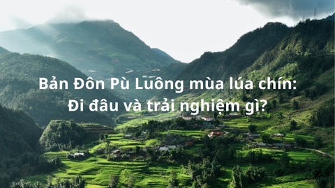 Bản Đôn Pù Luông mùa lúa chín: Đi đâu và trải nghiệm gì?