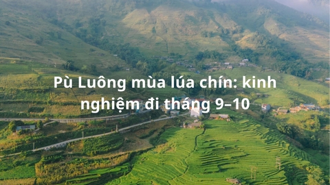 Pù Luông mùa lúa chín: kinh nghiệm đi tháng 9–10
