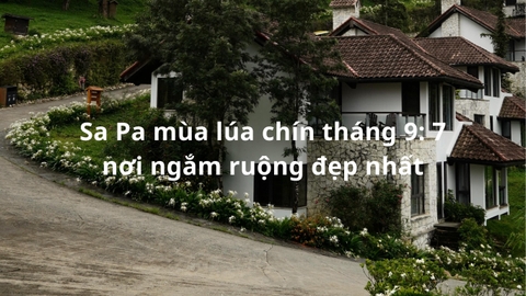 Sa Pa mùa lúa chín tháng 9: 7 nơi ngắm ruộng đẹp nhất