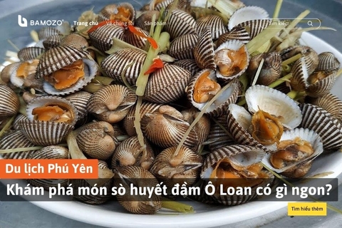 Khám phá món sò huyết đầm Ô Loan có gì ngon?