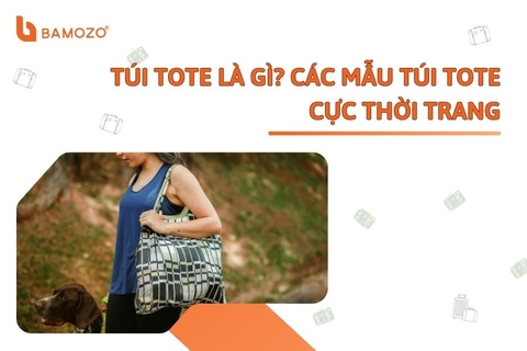 Túi tote là gì? Các mẫu túi Tote cực thời trang, đa dạng kiểu dáng