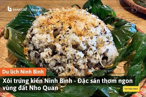 Xôi trứng kiến Ninh Bình - Đặc sản thơm ngon vùng đất Nho Quan