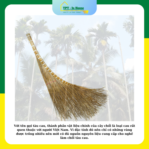 Chổi tàu cau